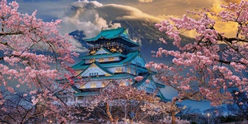 Sakura Season in Japan 2026: Forecast Timing, Viewing Locations, and Practical Travel Planning